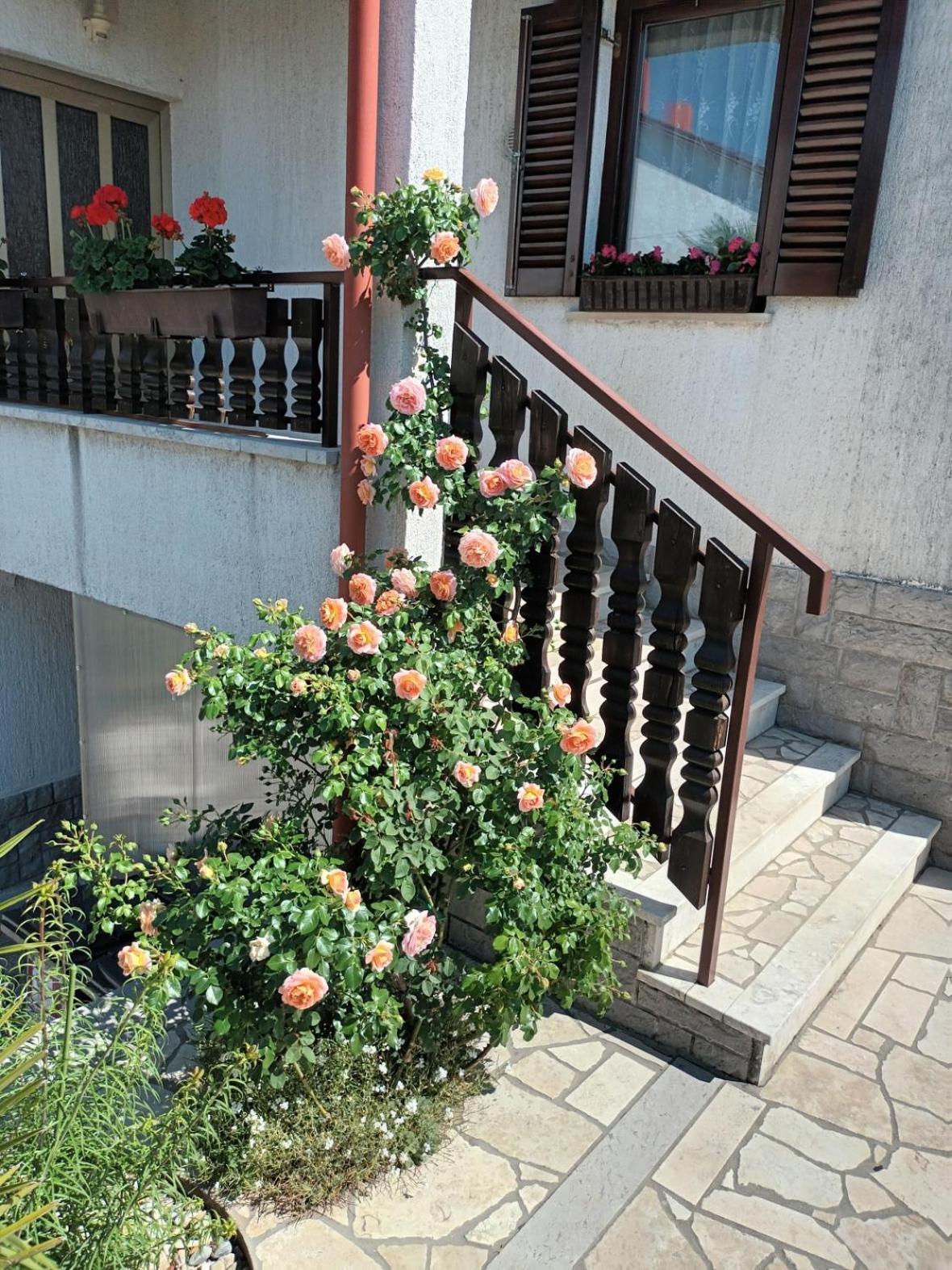 Apartments Peric Opatija Luaran gambar